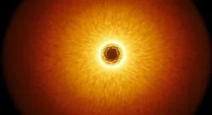 Recomendado só para você